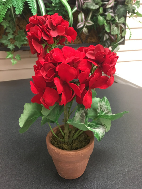 Red Potted Geranium - 9 inch