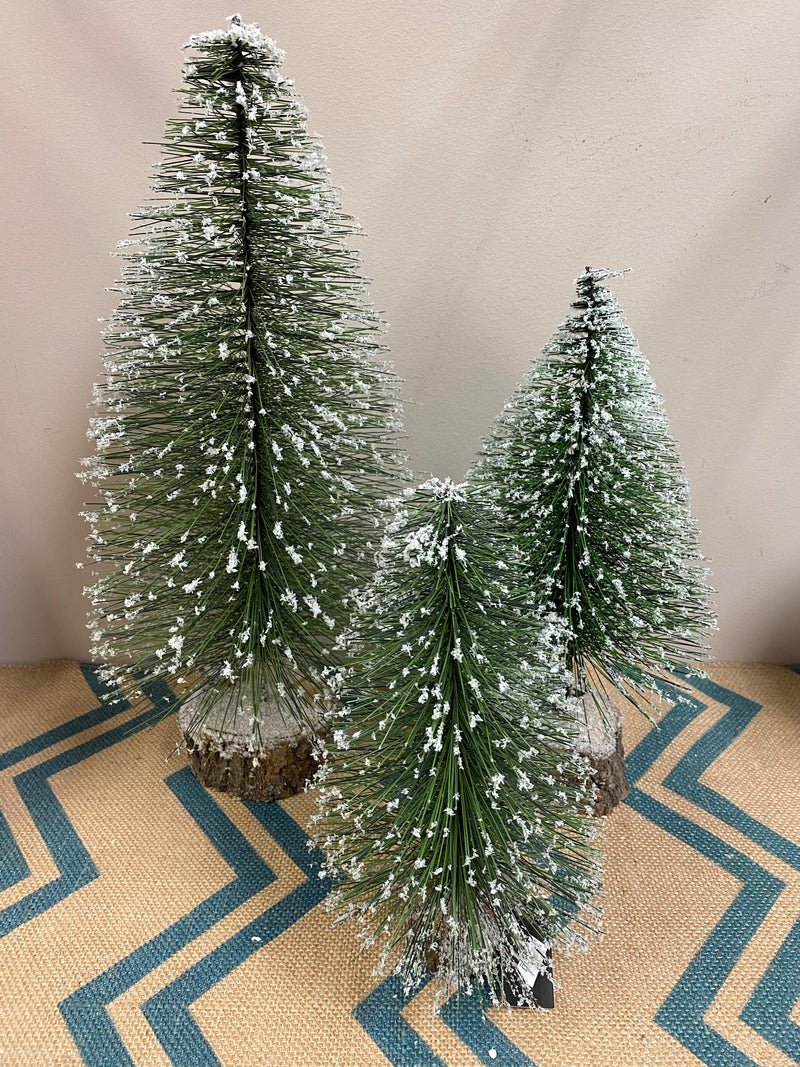 Snowy Long Needle Pine Trees on Wood - Large