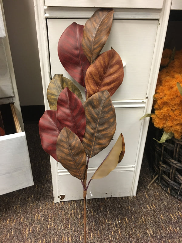 Fall Magnolia Leaves Stem