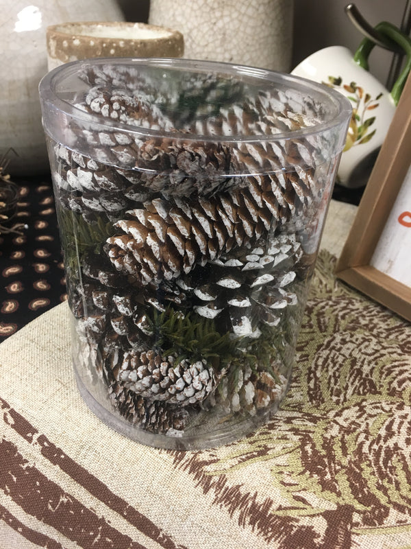 Cylinder of Assorted Pinecones and Green Pines