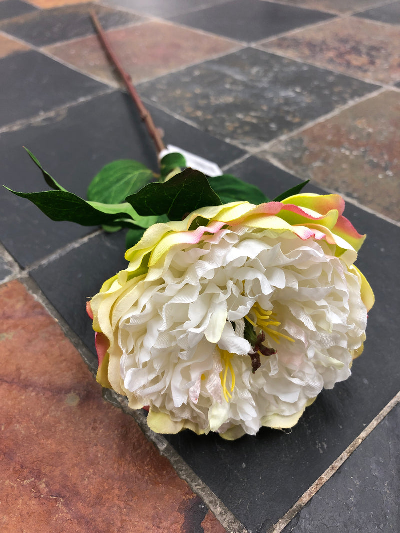Peony Two Toned White Stem - 24inch