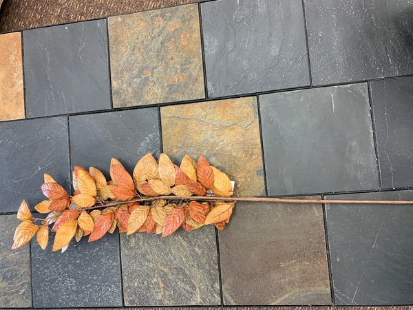 Fall Leaf Stem