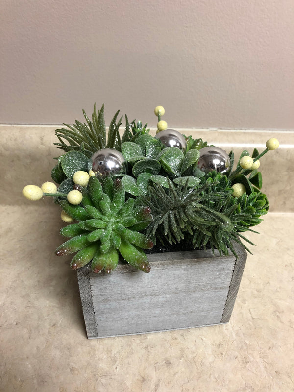 Glittered Succulents in Wooden Box