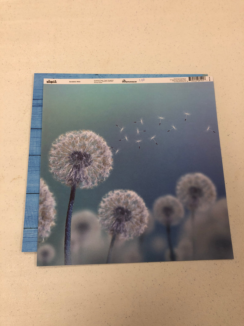 Dandelion Wish - 12 x 12 Paper