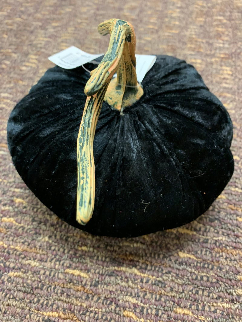 7 inch Black Velvet pumpkin