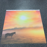 Horses at Sunrise