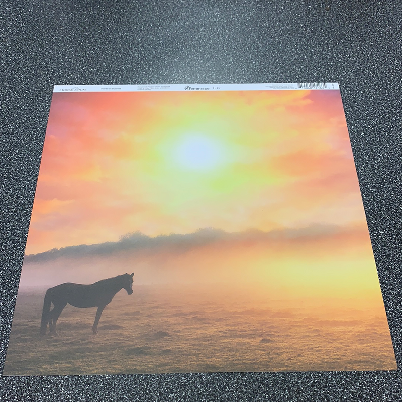 Horses at Sunrise