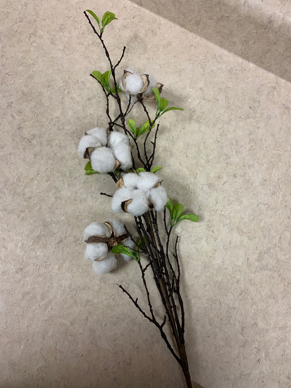 Cotton Spray with Leaves