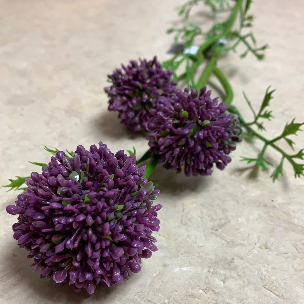 Purple Bullet Allium Flower Stems