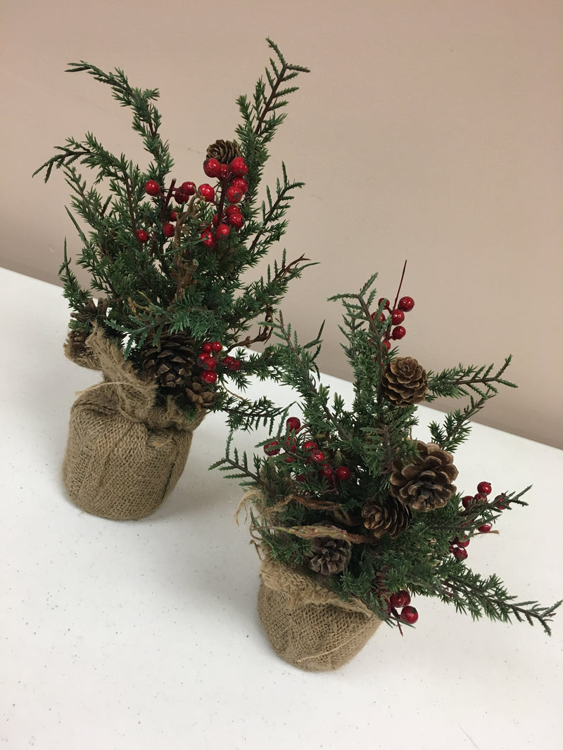 Pine Tree with Pinecones and Berries in Burlap