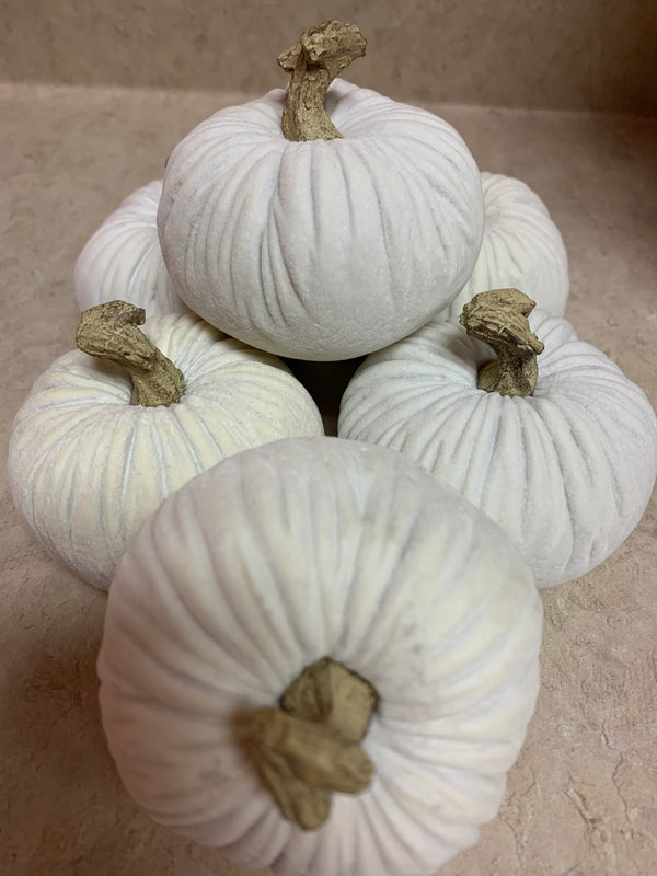 White Velvet Pumpkin