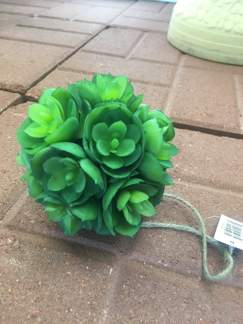 Succulent Ball