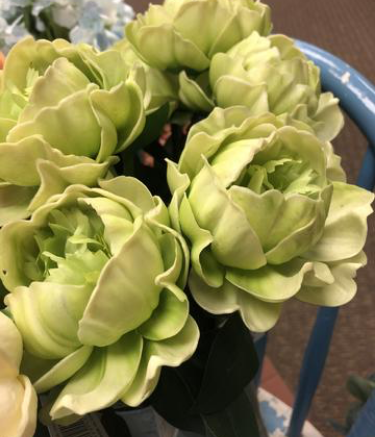 Testing Green Real Touch Peony - 21inch