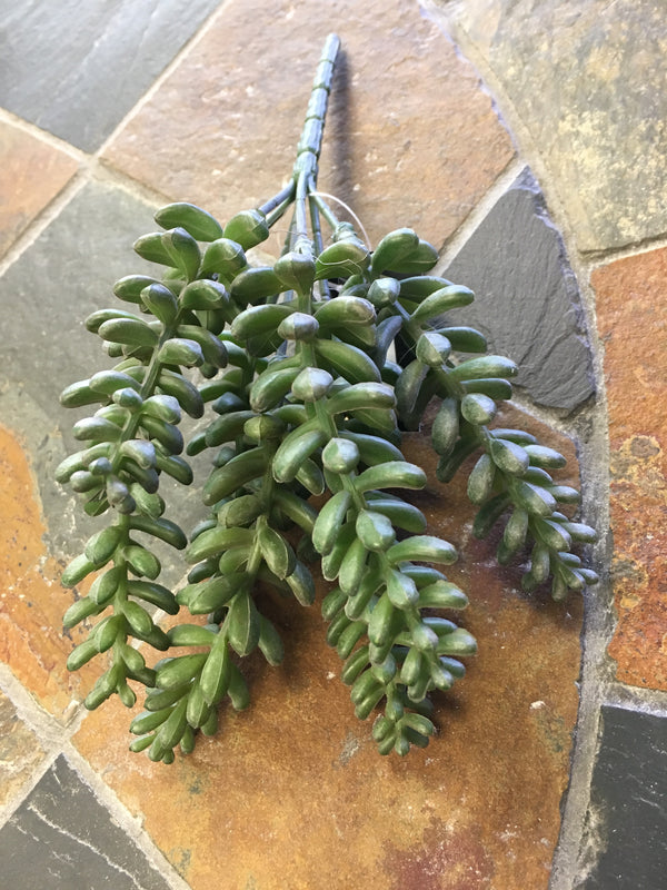 Green Donkey Tail Succulent Pick